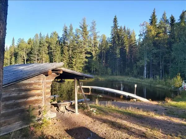 Sågdammin