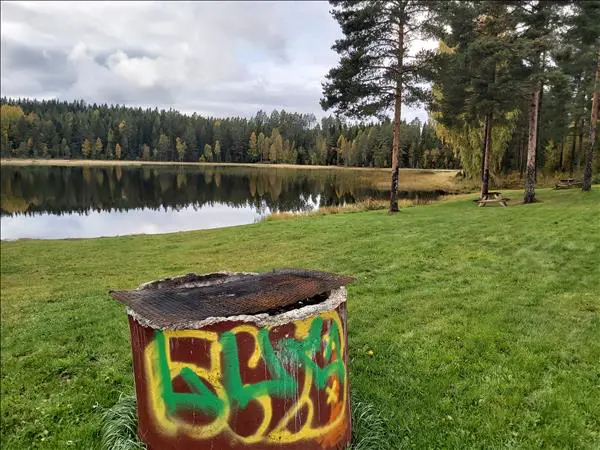 Dammyran