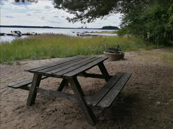 Scoutviken