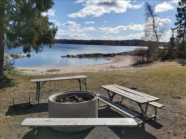 Vårvik