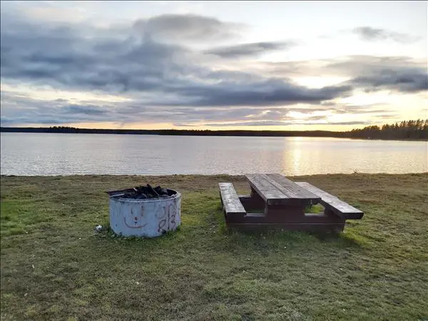Malmjärn