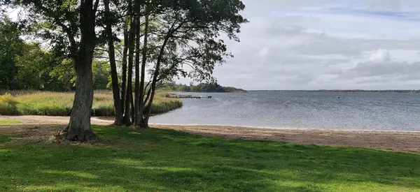 Studentviken