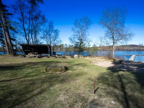 Mästocka