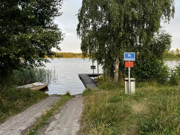 Spegeldammen hundbad
