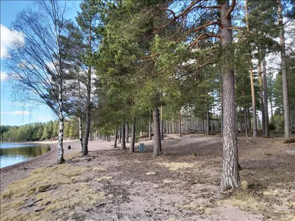 Dammsjöbadet