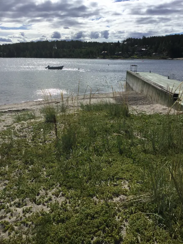 Krokviken