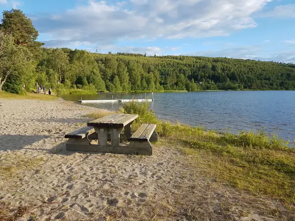 Pallviken