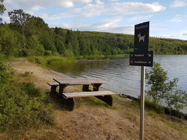 Pallvikens badplats - bad med hund